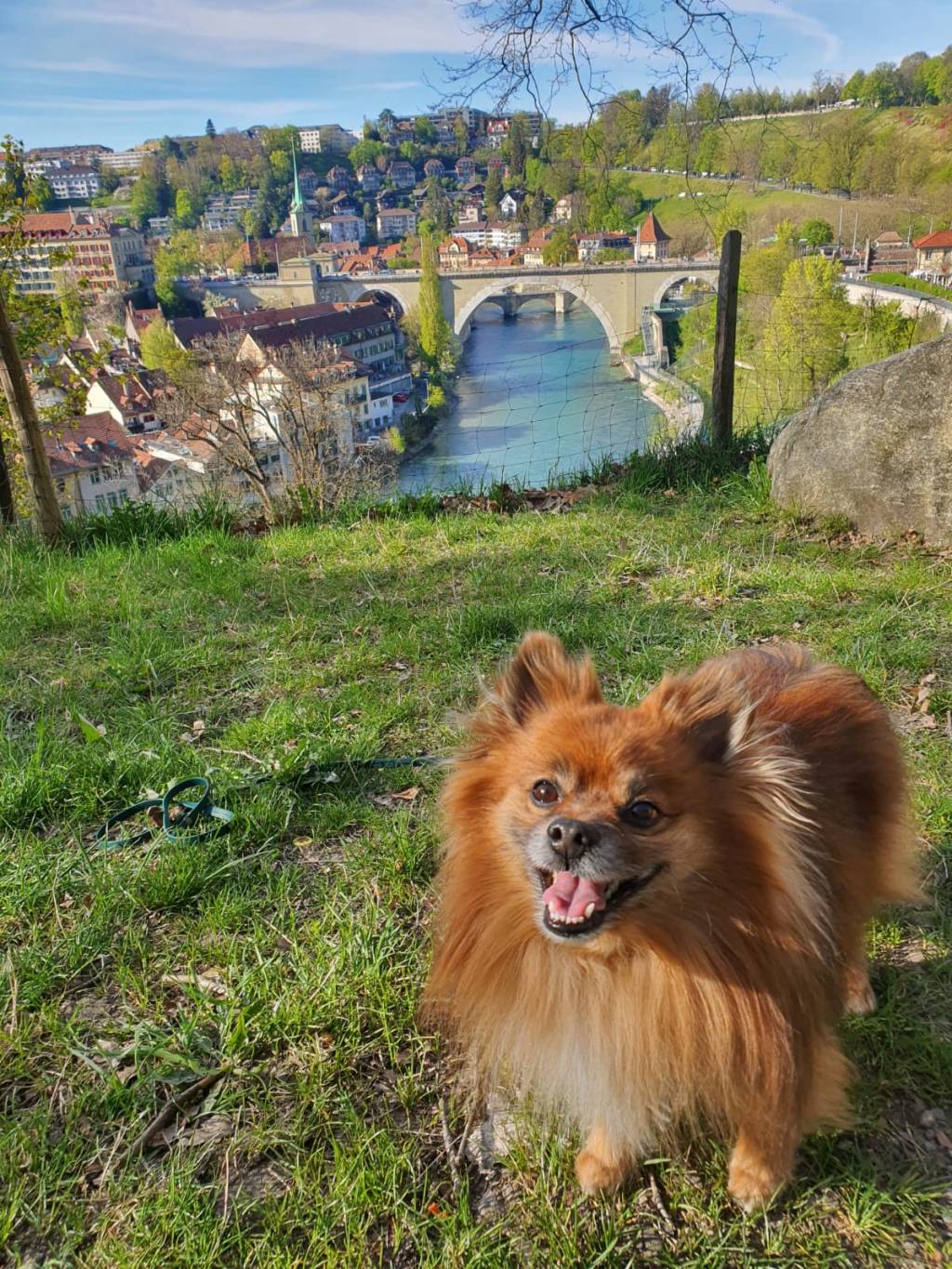 They Stole My Voice At&nbsp;Christmas