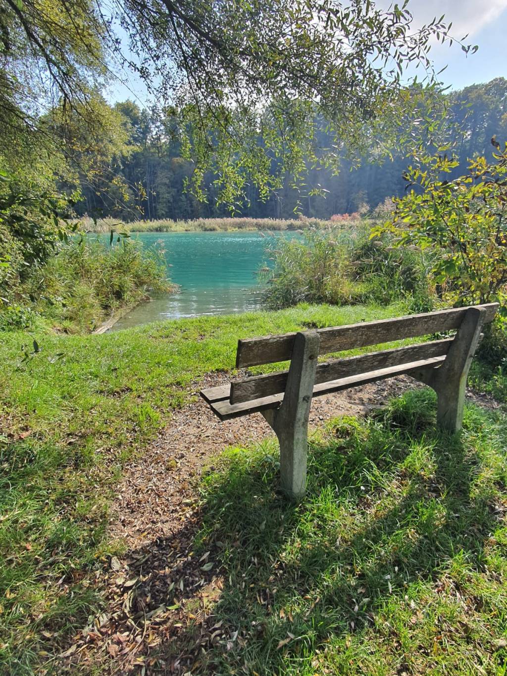 The End of Line&nbsp;101