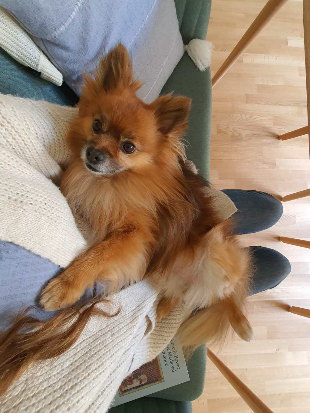 Poesía No Solicitada