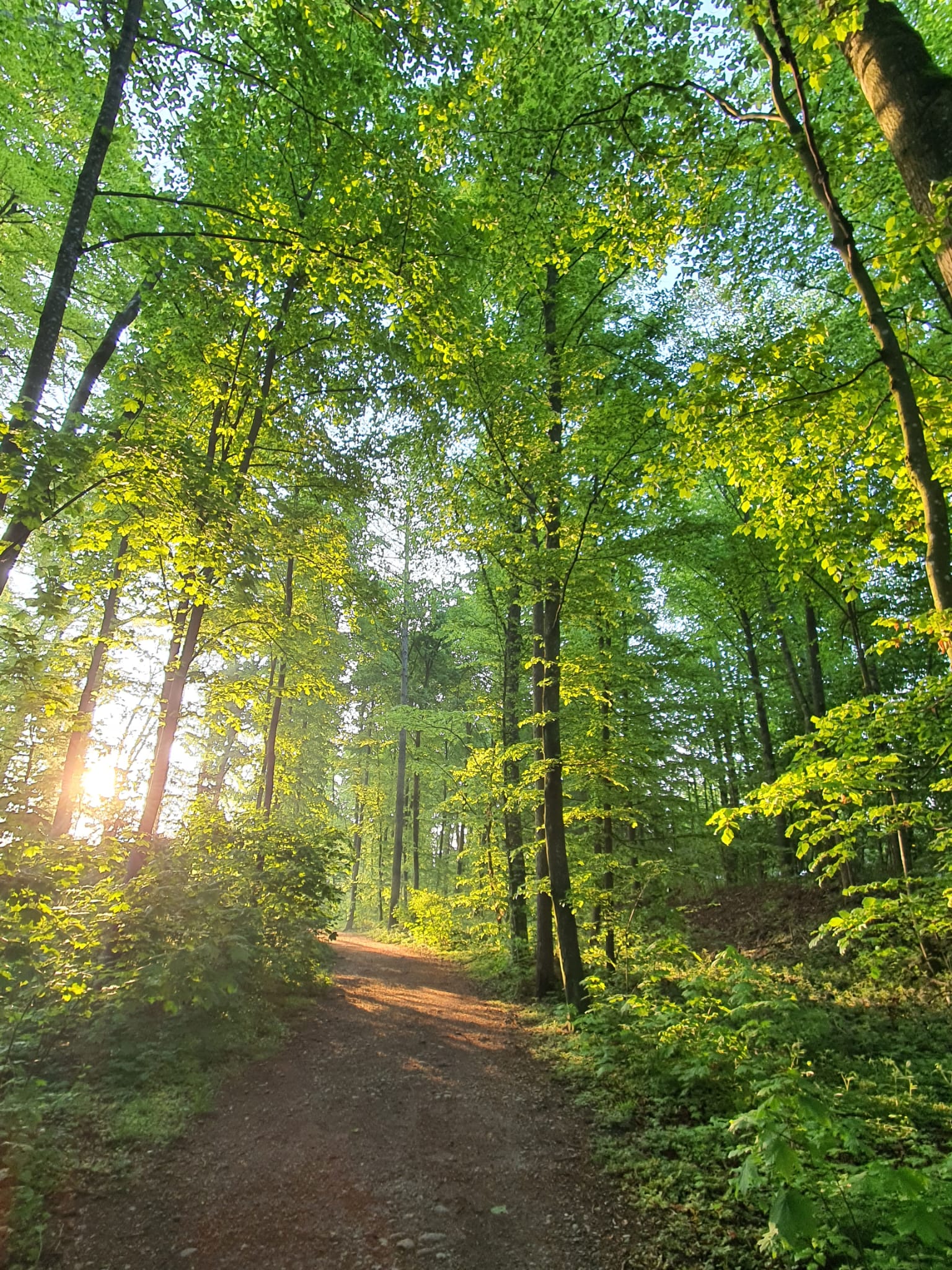 Glaciers and Portals