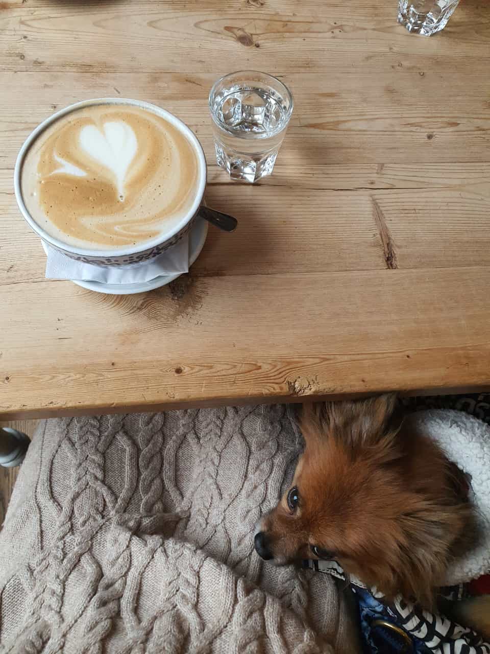 A Morning on The&nbsp;Spectrum