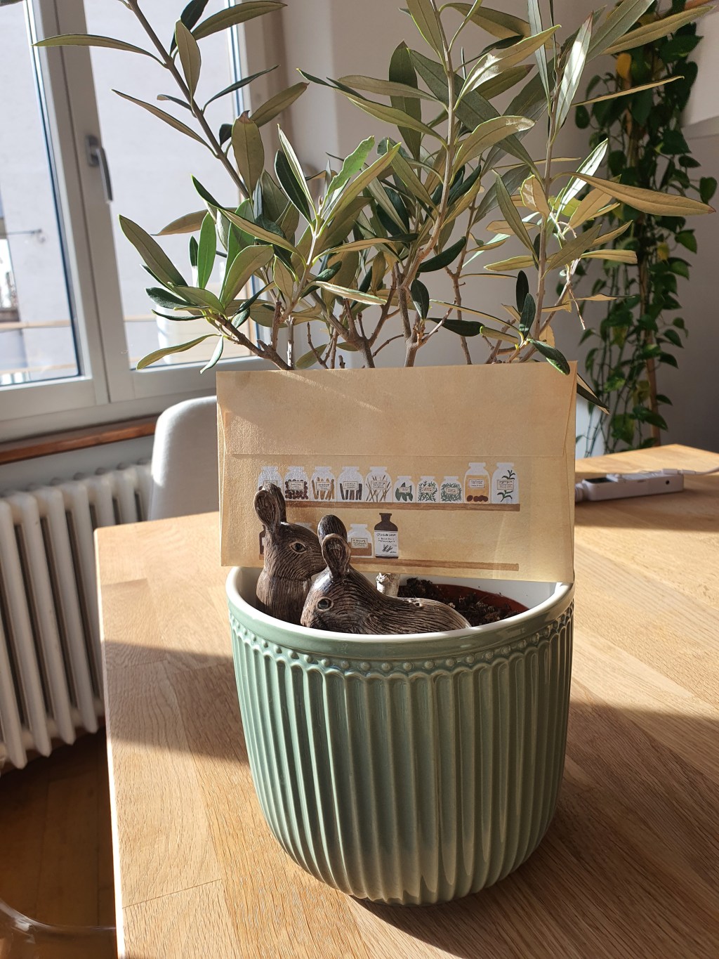 How To Write a&nbsp;Letter