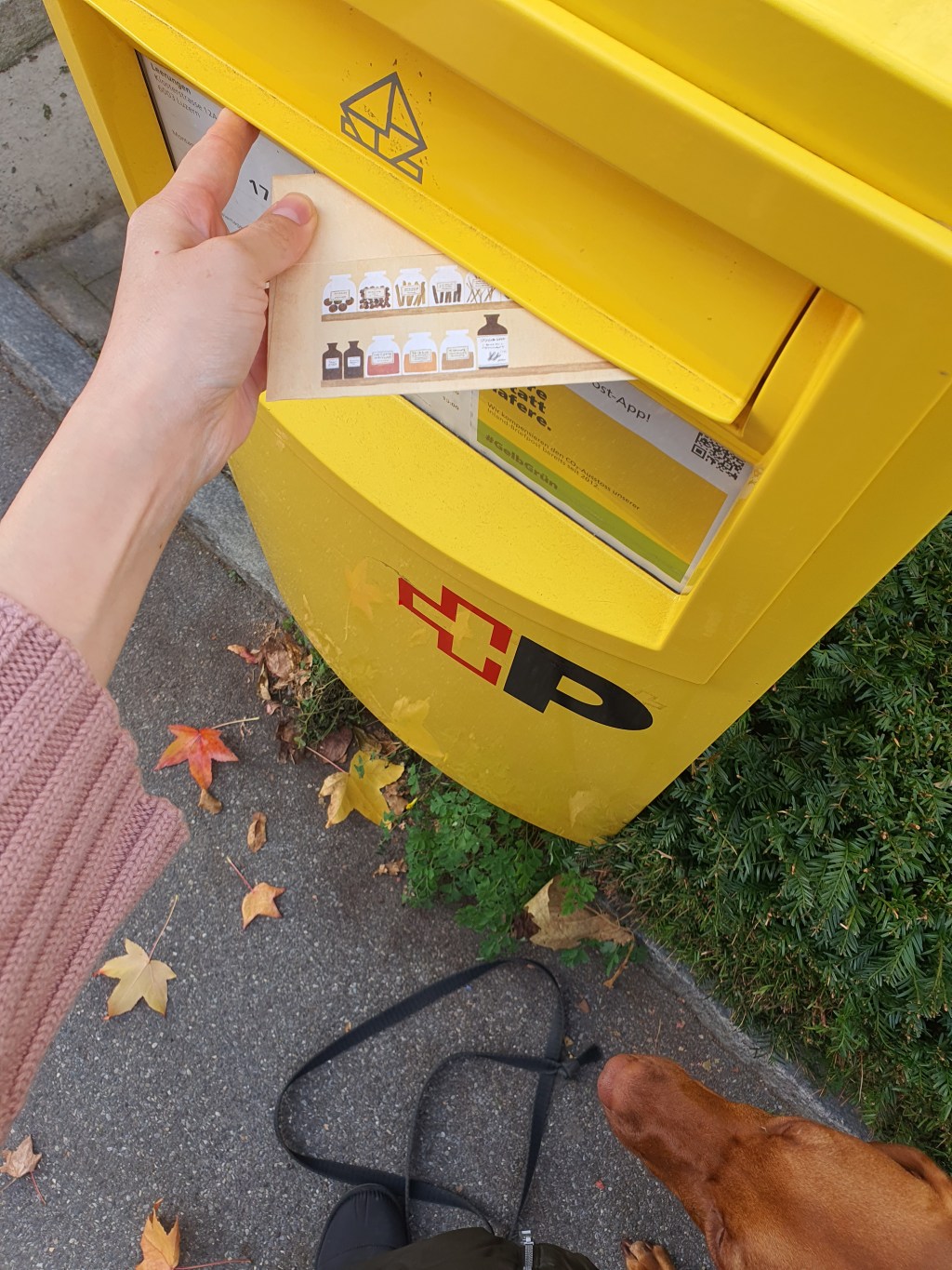 Cómo Escribir Una&nbsp;Carta